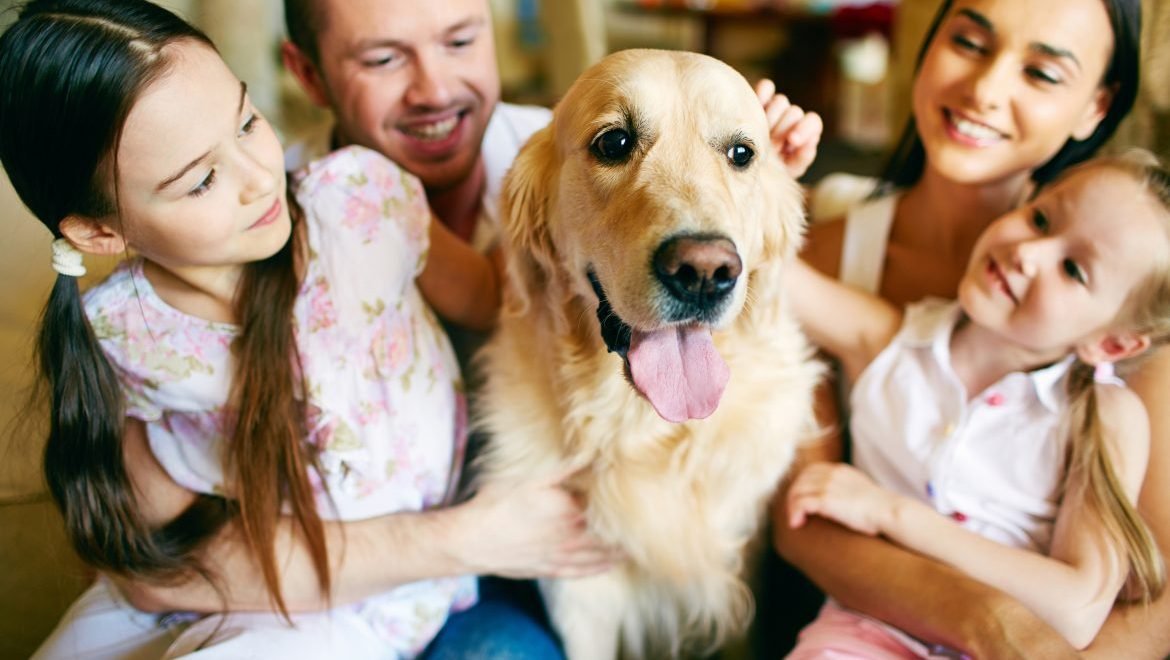 Como introducir una mascota a otra en la familia?