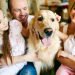Como introducir una mascota a otra en la familia?