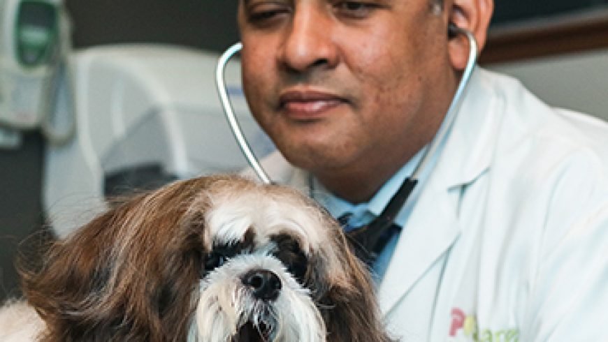 Dr. Dink Comarazamy
