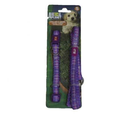 AP Collar + Correa P/Perro