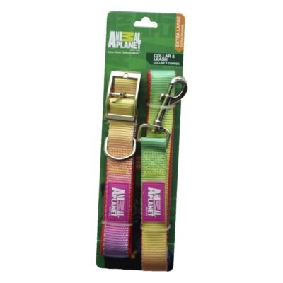 AP Correa + Collar Extra Grande